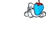 Blue Strawberry Elephant