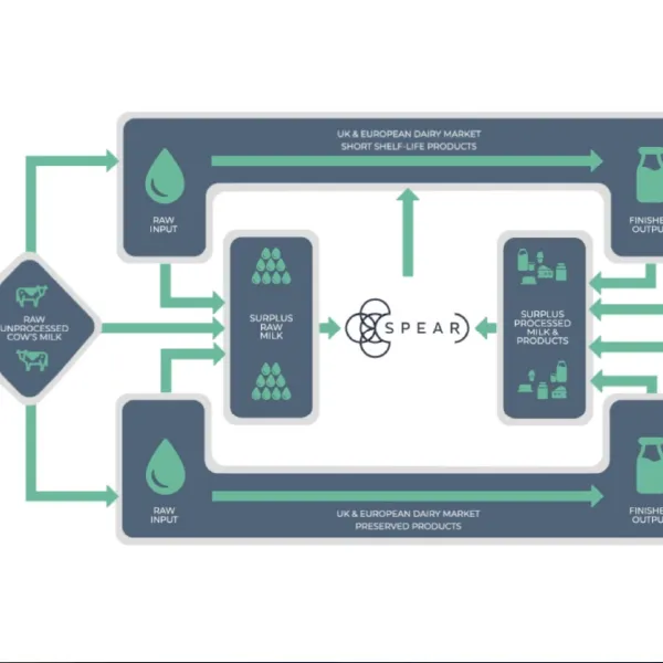 animation-flowchart