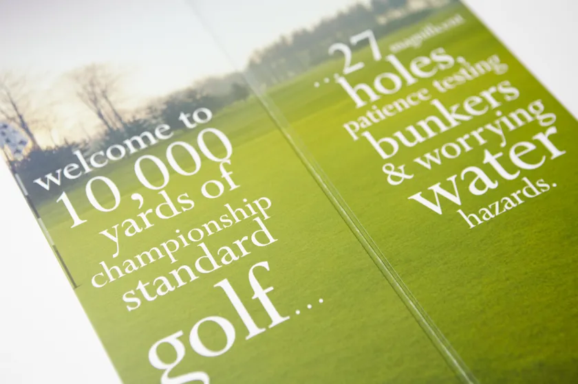 forest-pines-leaflet-design